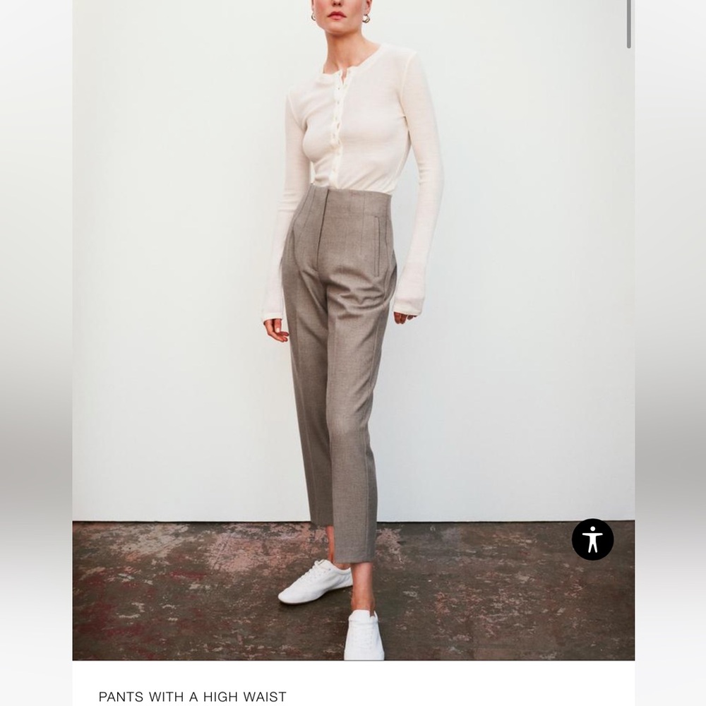 NWT Zara pants with high waist rare color